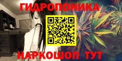 ПСИЛОЦИБИНОВЫЕ ГРИБЫ Татарск