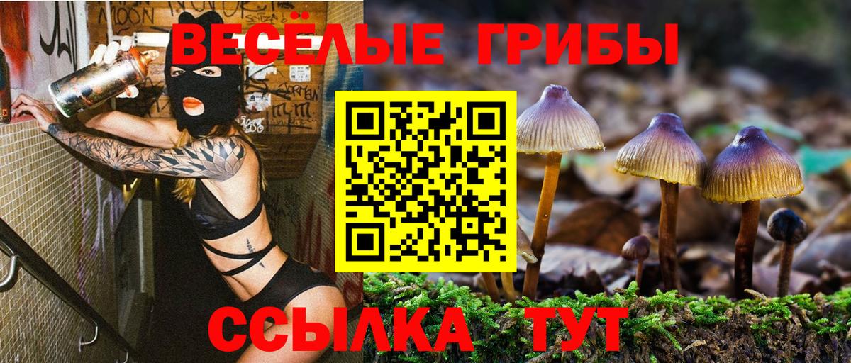 Галлюциногенные грибы GOLDEN TEACHER Ачинск